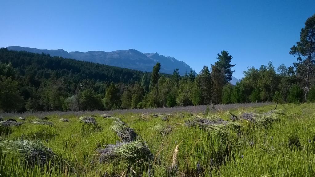 Вилла Morada Del Sol - Experiencia De Montana Эль-Больсон Экстерьер фото
